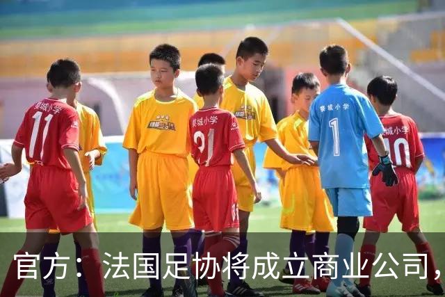 官方：法国足协将成立商业公司，管理法甲、法乙及其商业权益